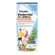 Floradix Kindervital Fruity Multivitamin Formula 250ml
